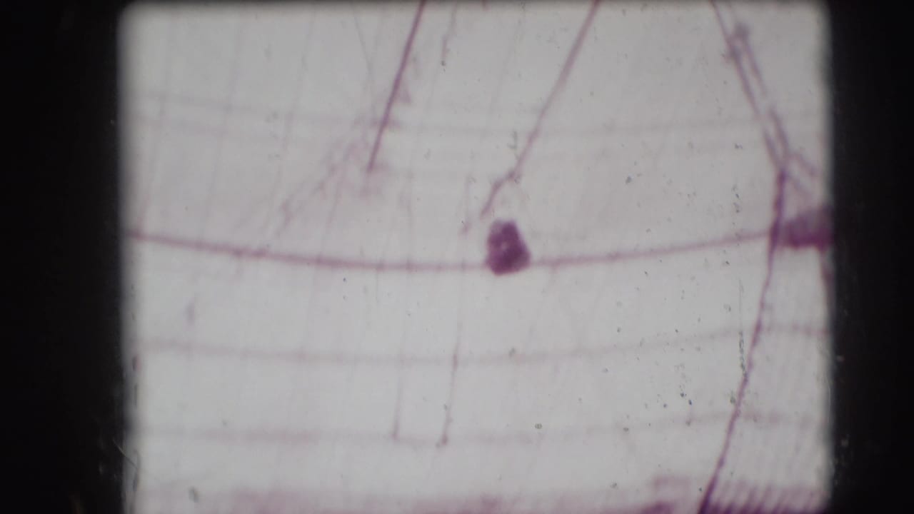 Bright, soft-focus view of netting or overhead circus rigging.