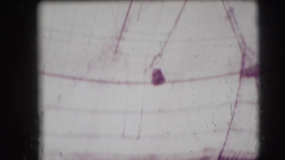 Soft, overexposed 8mm frame with pale netting or rigging lines, likely part of the circus performance setting.