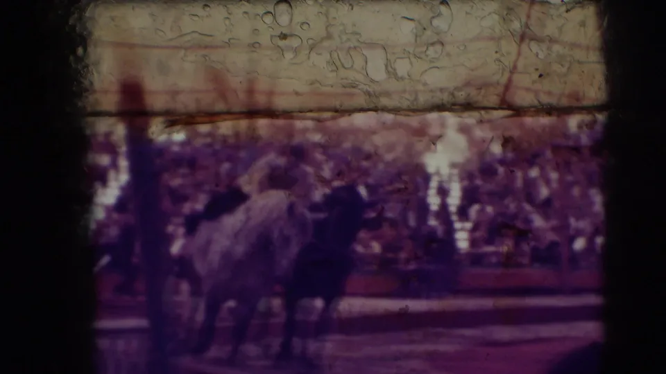 1948 Sarasota circus home-movie frame showing a horse with a person nearby or mounted, with spectators in the background.
