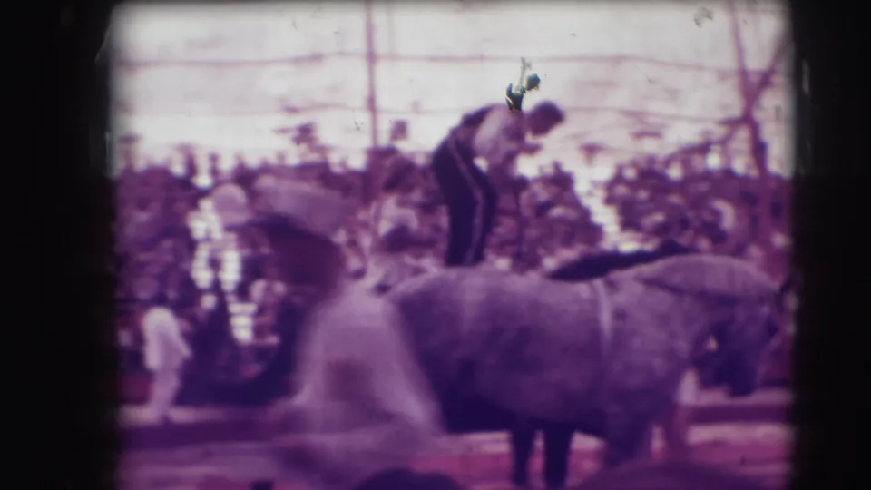 1948 Sarasota circus frame showing horses, a standing performer or handler, a distant crowd, and a figure overhead near rigging.