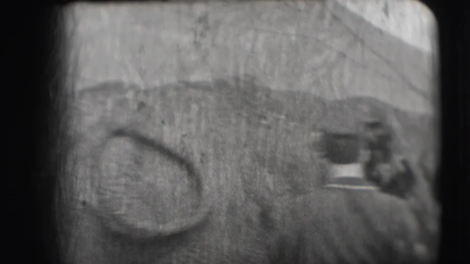 A grainy 1948 8mm frame from Sarasota shows part of an elephant near an outdoor circus enclosure.