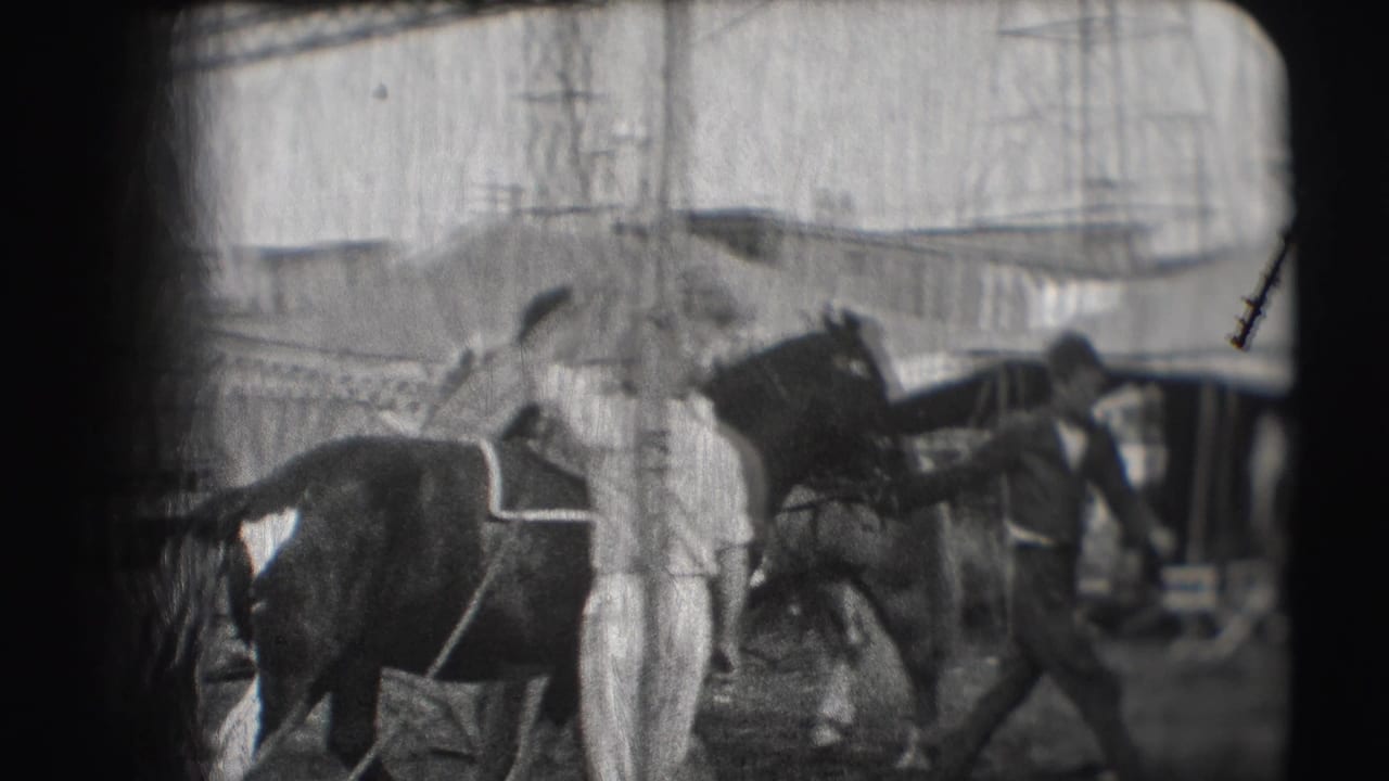 Horse handlers lead saddled horses past canvas tents and fairground structures.