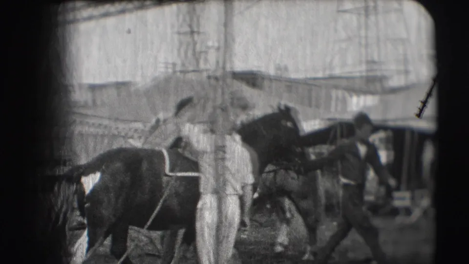 1948 Sarasota circus grounds with handlers and saddled horses moving near tents and scaffolding in soft 8mm footage.