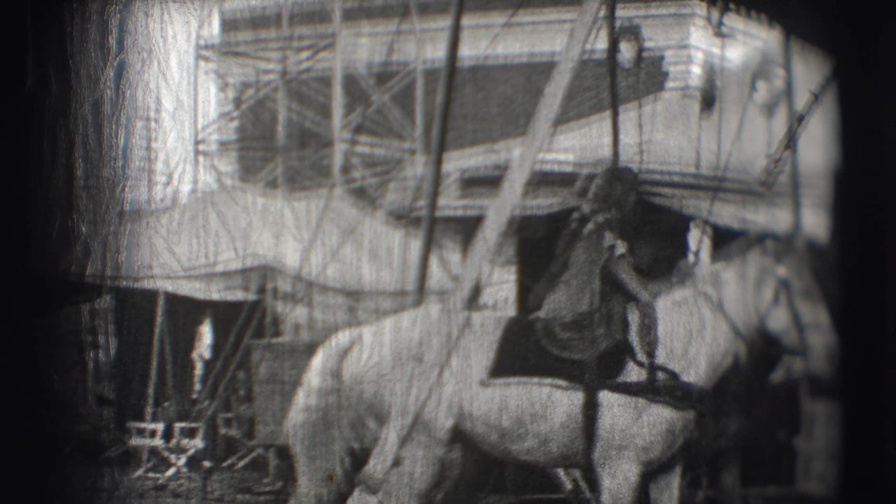 Person on or beside a white horse near canvas structures and circus equipment.