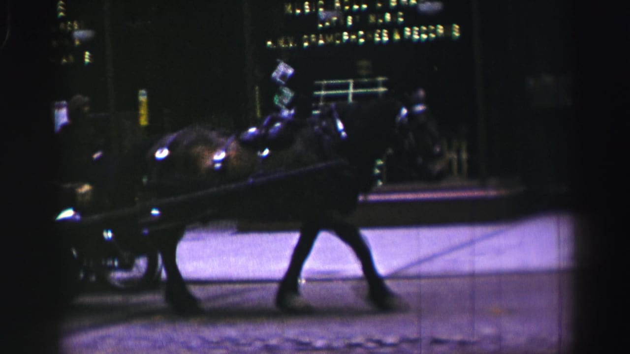 Horse pulling a cart past illuminated storefronts on a dark street.