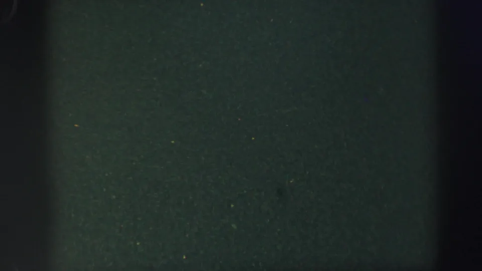 End frame from the 8mm scan with a mostly dark green exposure area and visible film texture.