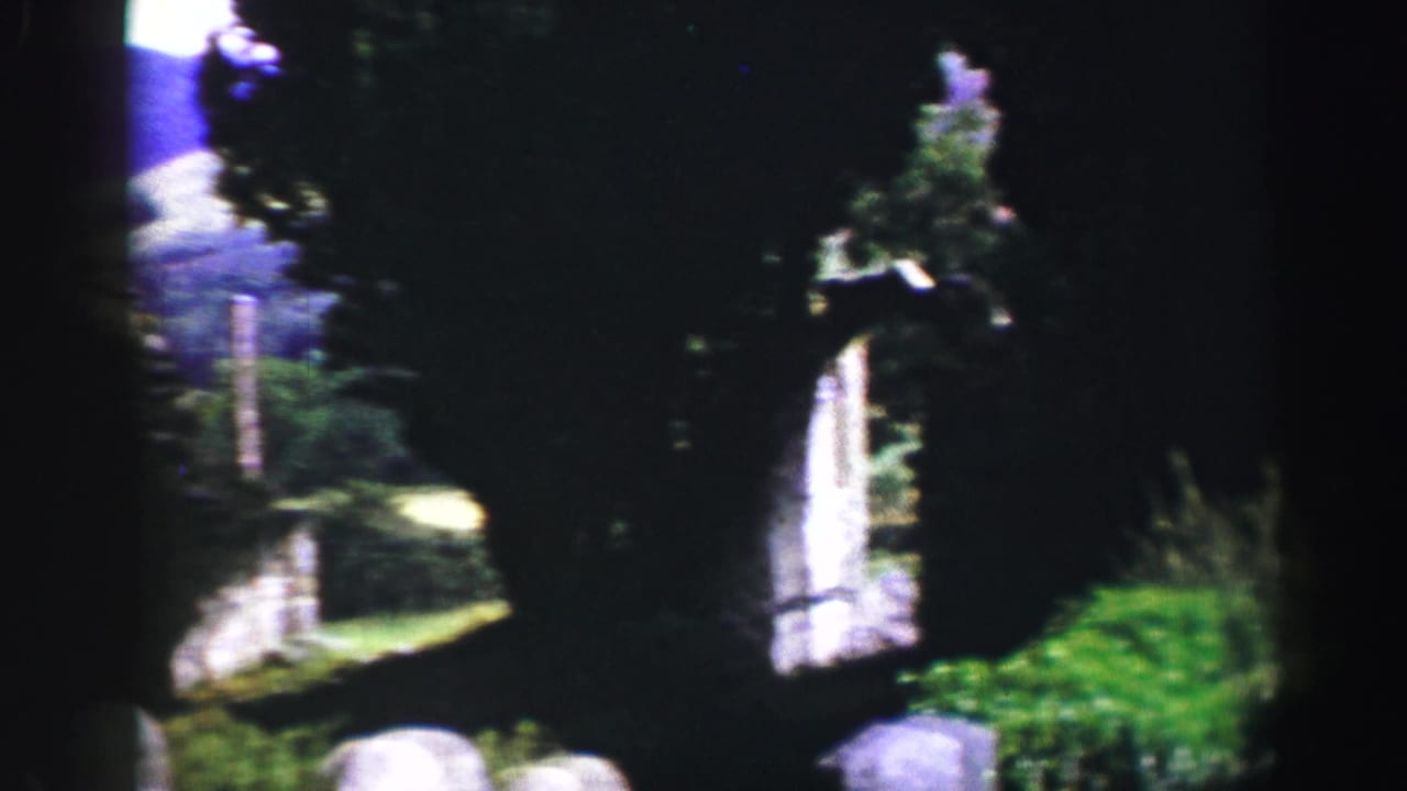 A handheld 8mm view through trees shows bright grass, stonework, and a pale upright structure in a rural United Kingdom setting.