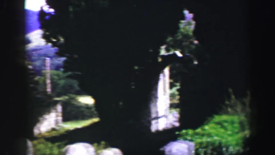 A handheld 8mm view through trees shows bright grass, stonework, and a pale upright structure in a rural United Kingdom setting.