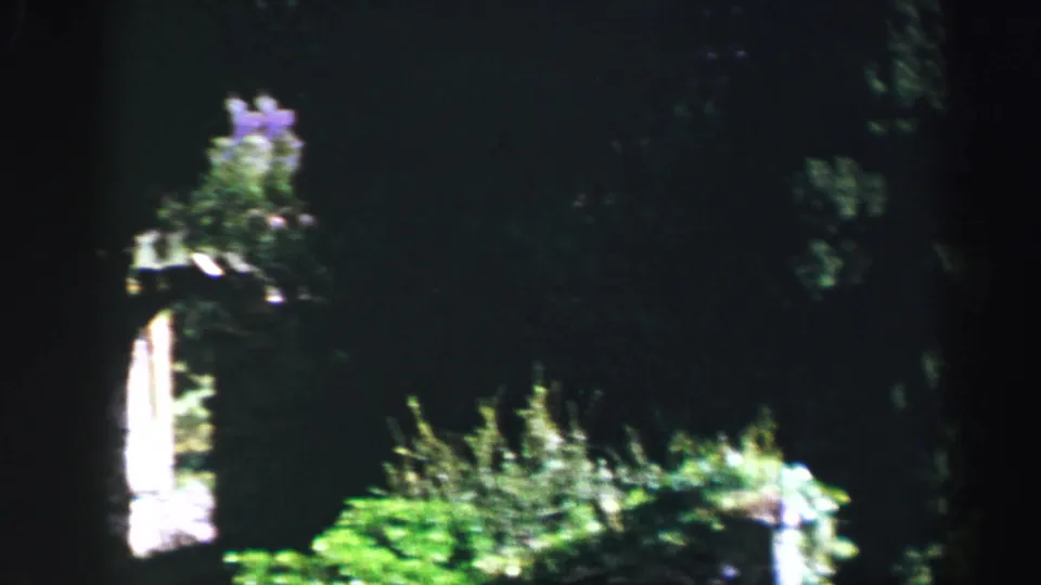 The camera holds on a shadowed, leafy area with bright green vegetation and a pale upright stone or architectural form.