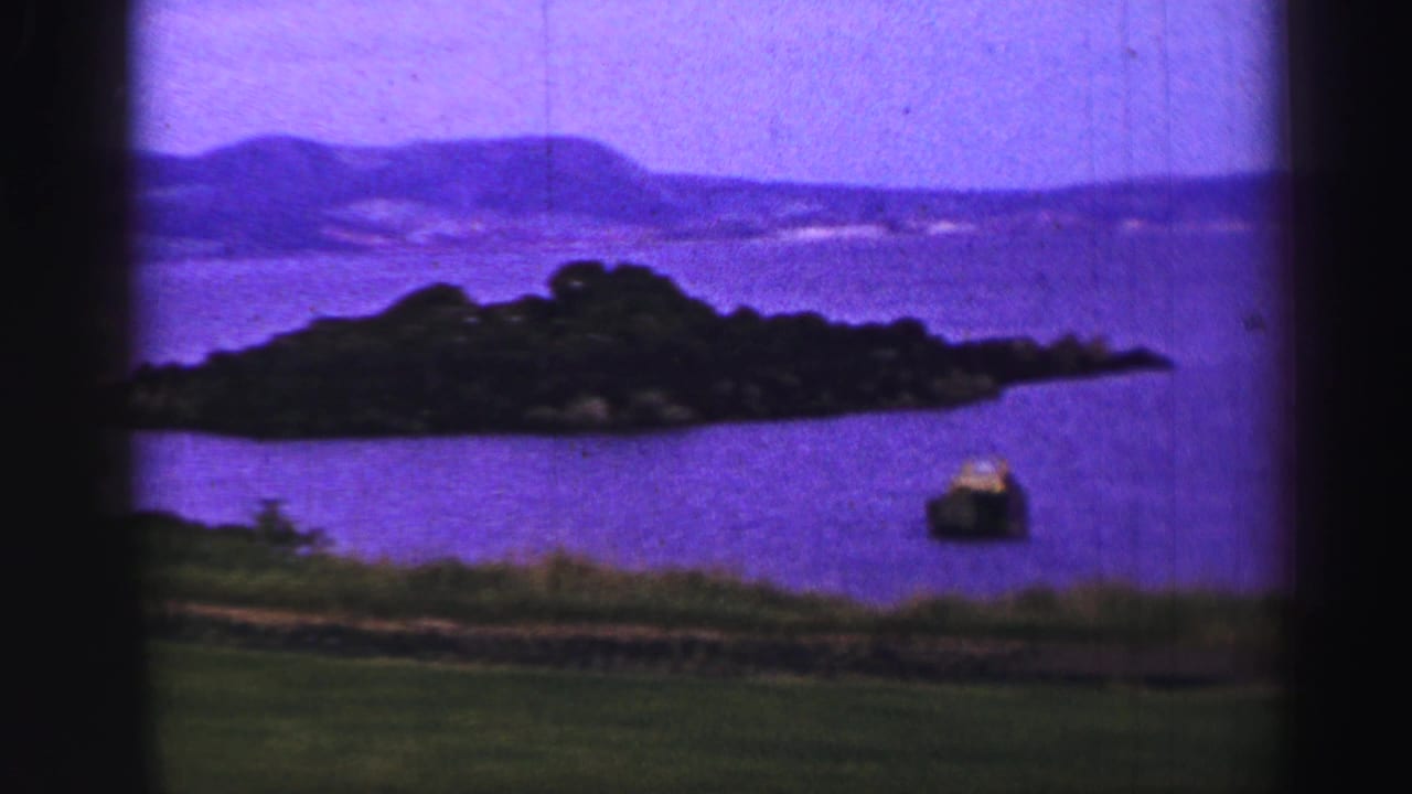 Tree-covered island across blue-purple water with hills in the background and grass in the foreground.