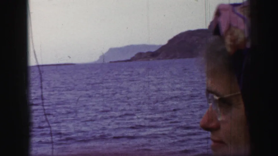 Profile view of an older woman wearing glasses at a window, with open water and a rocky island visible outside.