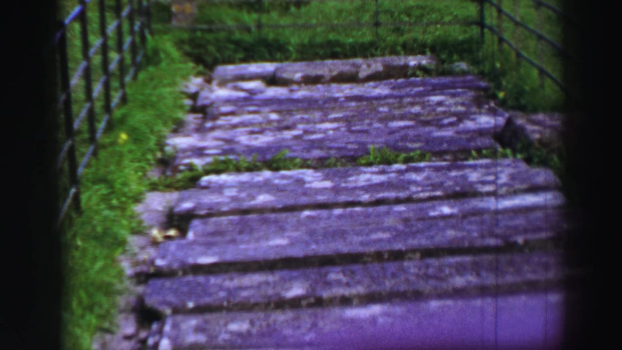 Weathered wooden plank path bordered by grass and metal railings.