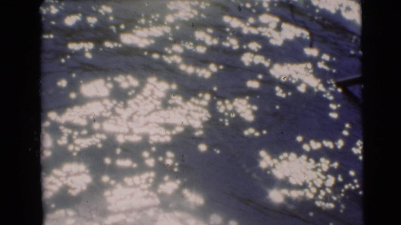 Sunlight glinting across rippled river water.