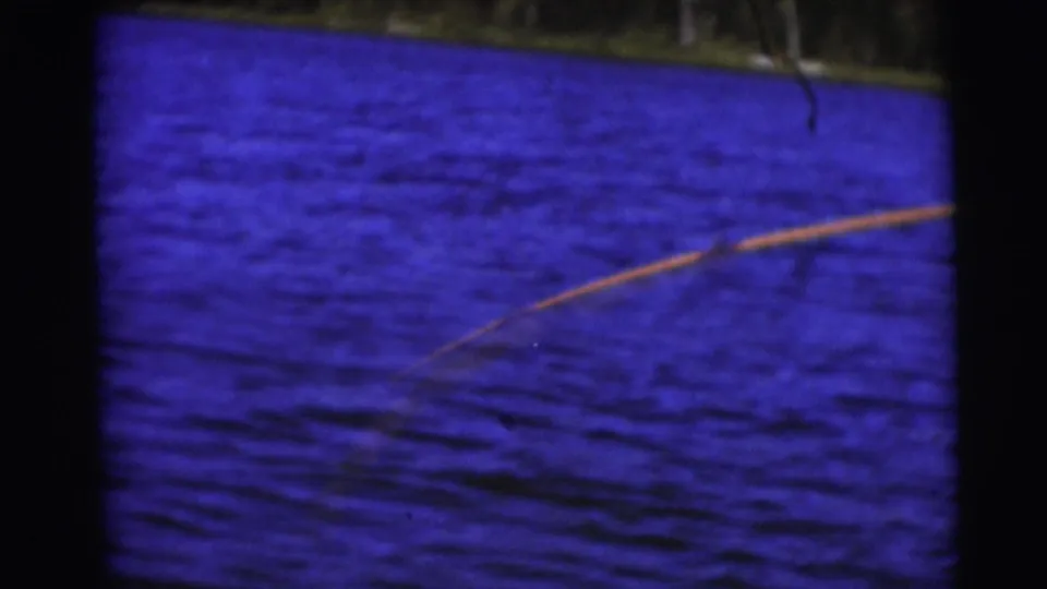 A fishing rod or line crosses the frame above rippled blue lake water, with a faint wooded shore near the top.