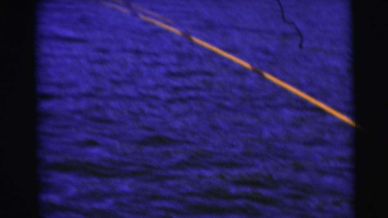 Fishing line crosses blue rippling water near the top of the frame.