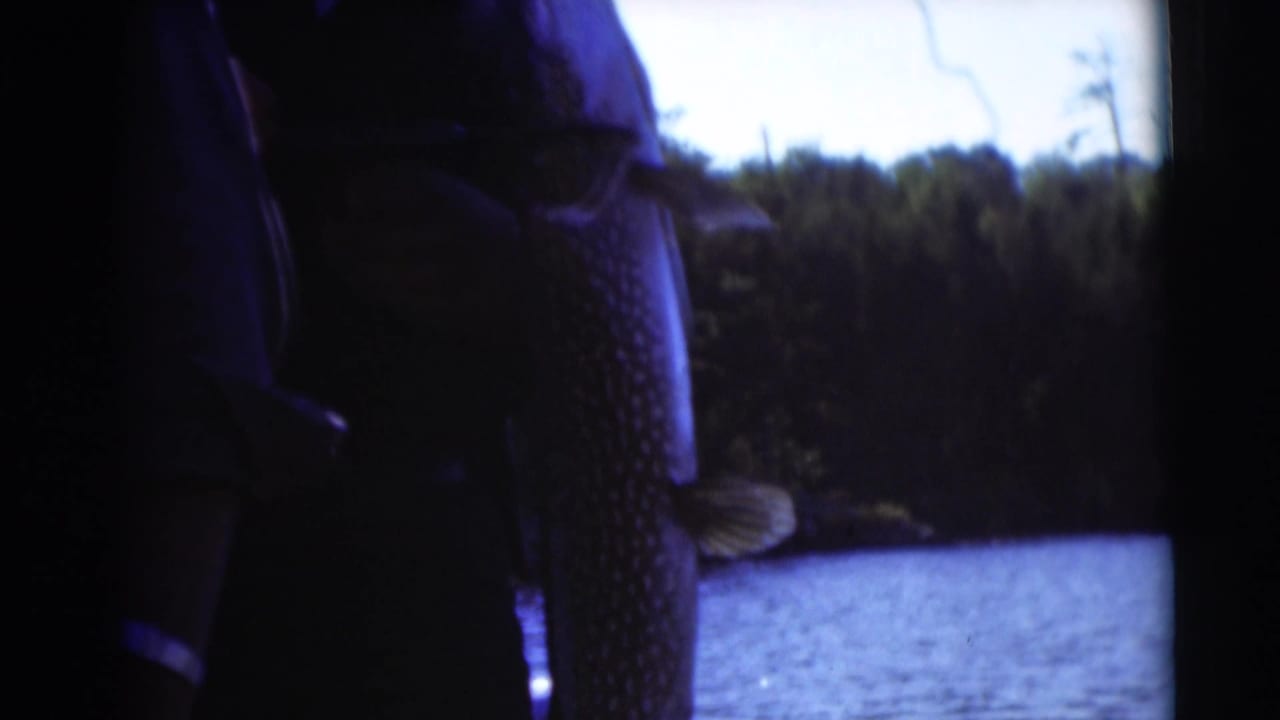 Large fish held near water with a wooded shoreline in the background.