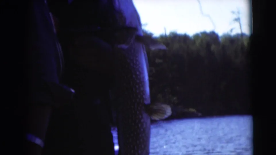 1953 Baraboo, Wisconsin home-movie frame showing a large fish held upright beside blue water and trees.