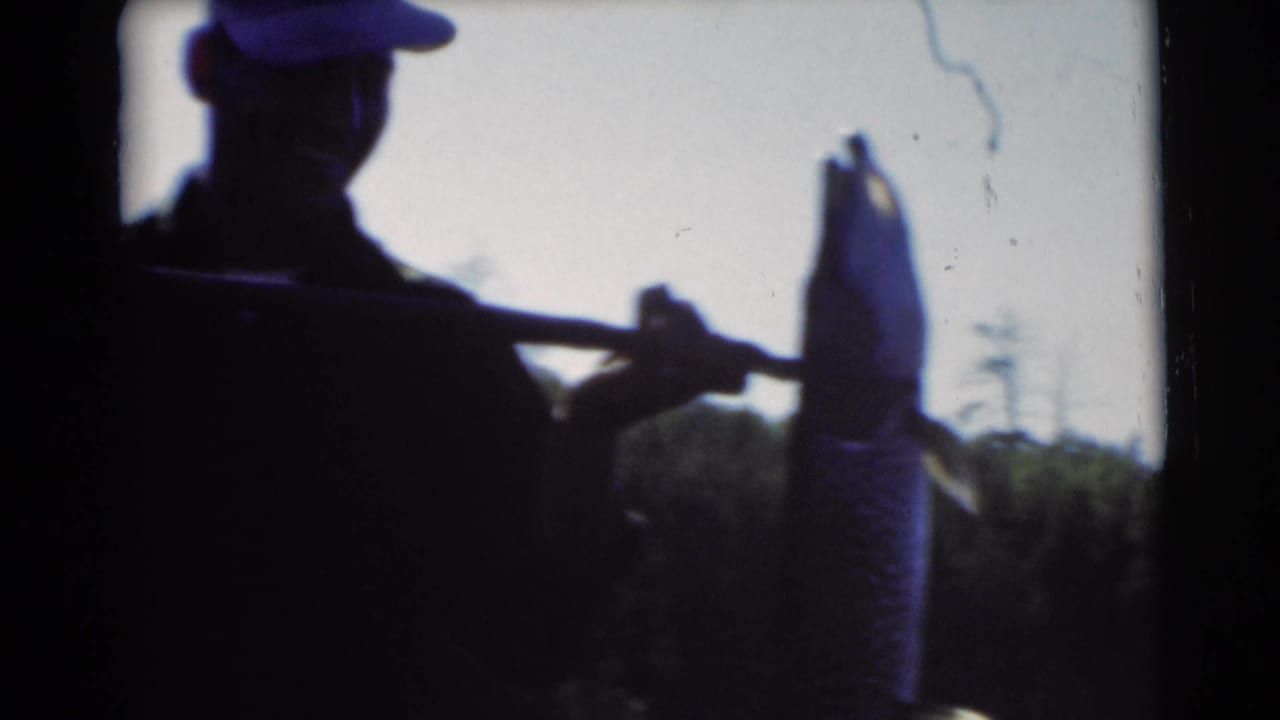 1953 Baraboo, Wisconsin 8mm frame of a silhouetted man on or near a boat holding up a large fish.
