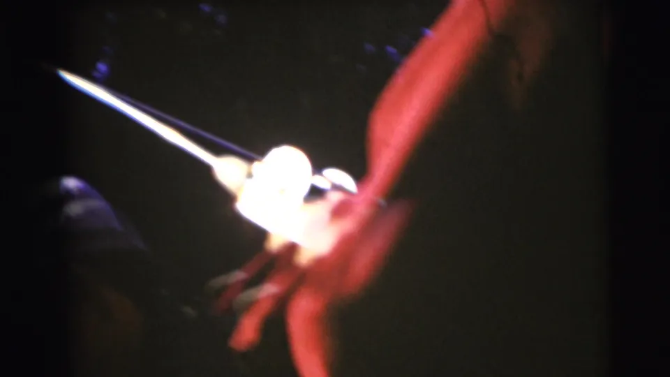 Close 8mm view of a fishing rod and red-shirted arm during the 1953 Baraboo fishing trip.