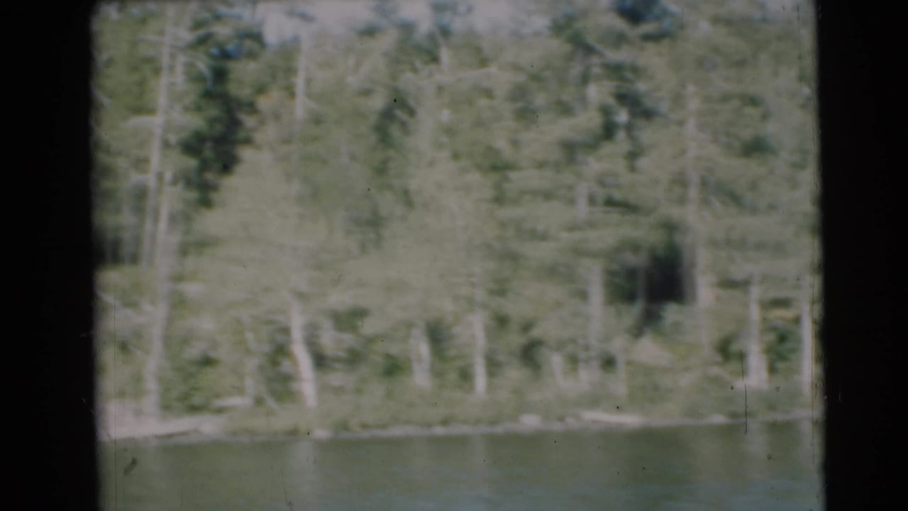 Wooded riverbank seen across calm water in a soft 8mm frame.
