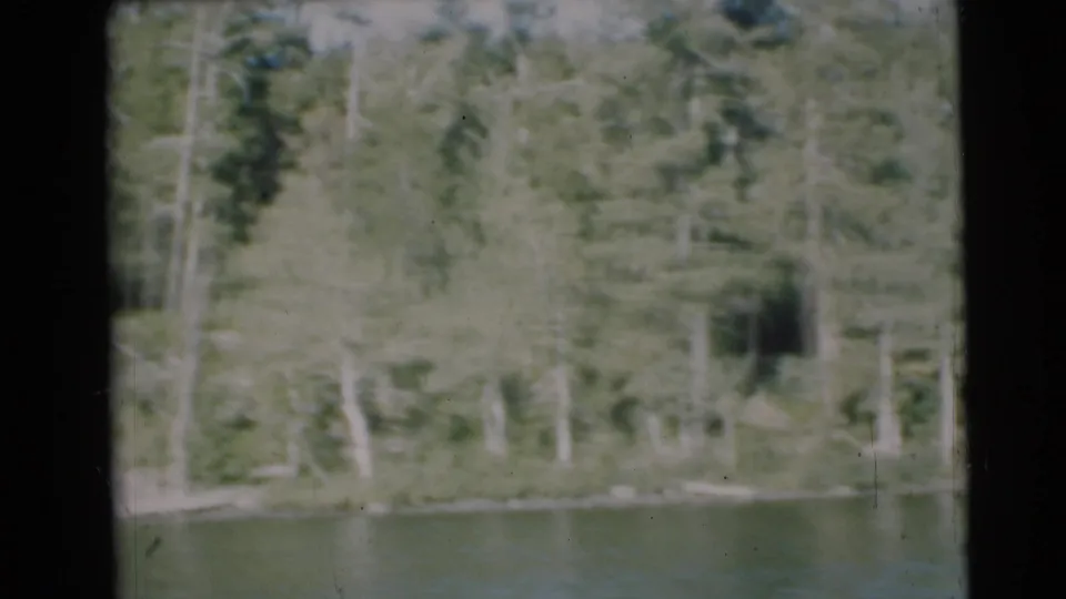 1953 Baraboo, Wisconsin 8mm view of trees along a riverbank from a moving boat, with soft focus and film wear.