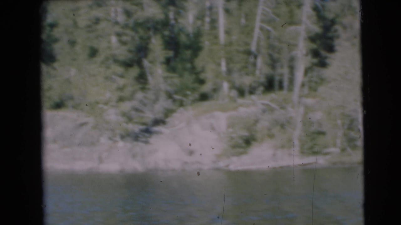 Forested bank along the Baraboo, Wisconsin river view, filmed from a boat on 8mm stock in 1953.