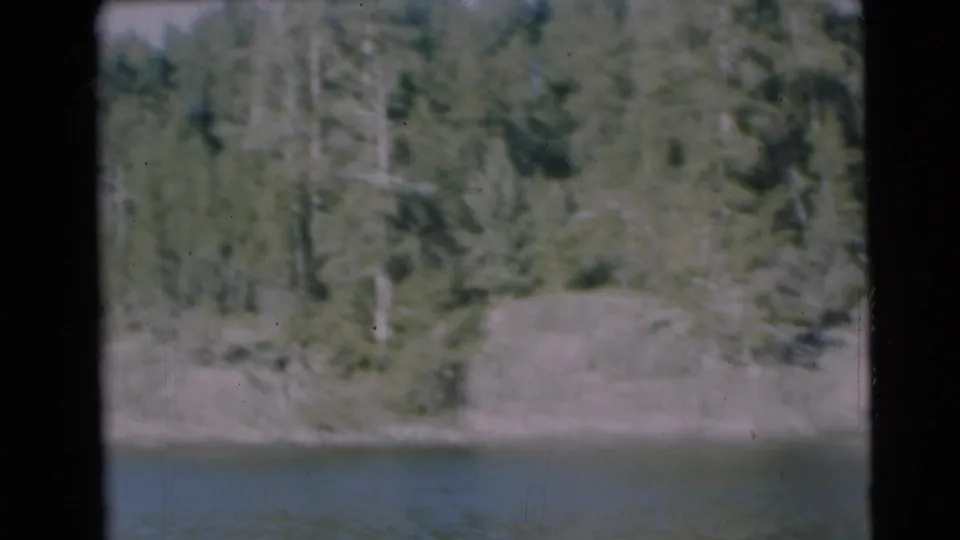 Soft 8mm frame of a wooded Wisconsin riverbank, with the camera passing by from a boat during the 1953 home movie.