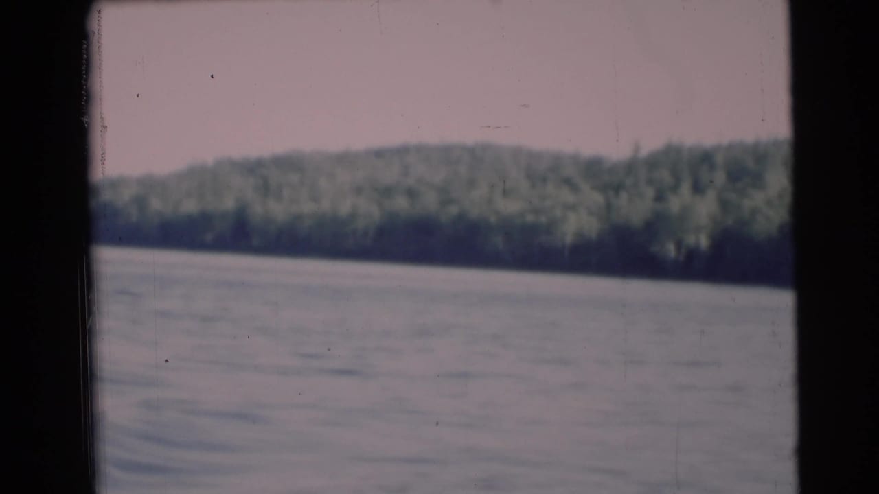 Wide view across a lake toward a wooded shoreline under a pale sky.