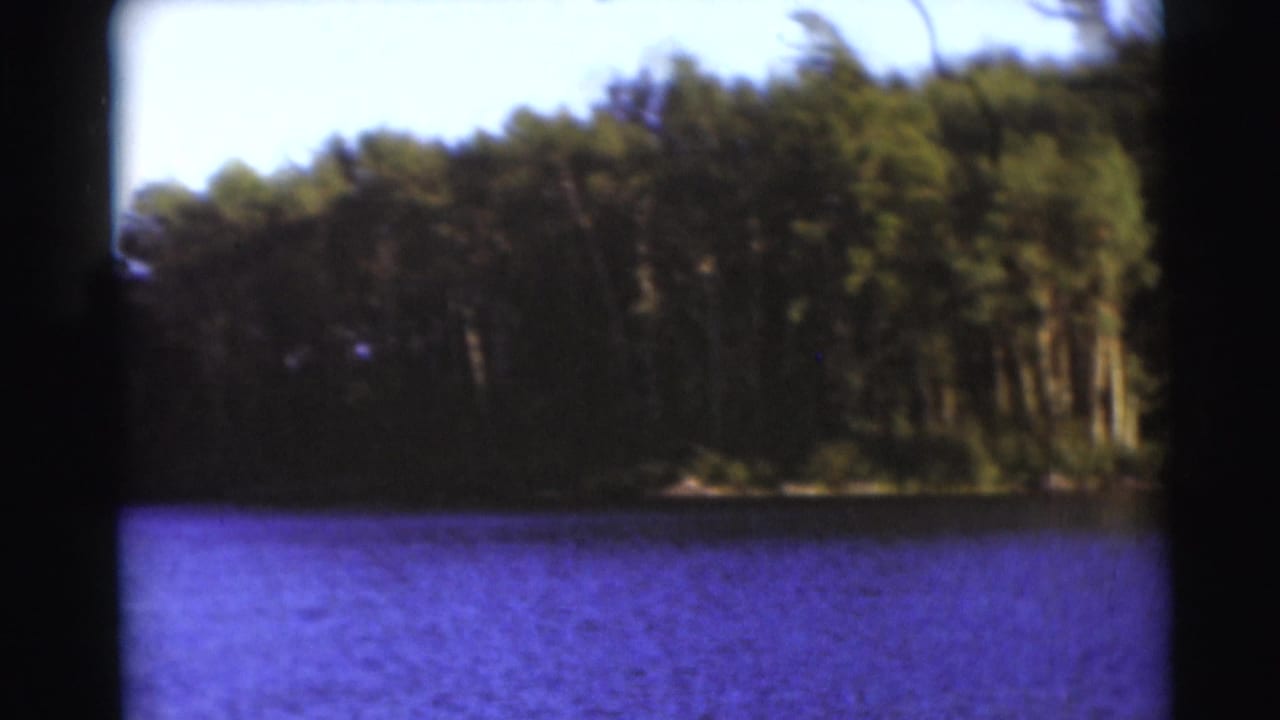 1953 Baraboo, Wisconsin 8mm view of dense trees along a lakeshore with blue water in the foreground.