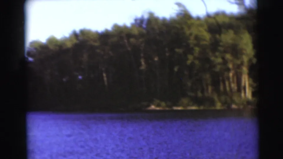 1953 Baraboo, Wisconsin 8mm view of dense trees along a lakeshore with blue water in the foreground.