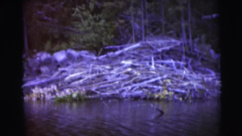 1953 Baraboo, Wisconsin 8mm view of a log-and-branch dam beside calm river water, framed by forest and film edges.
