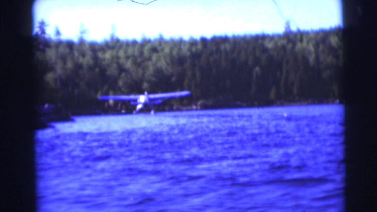 Daylight view of a floatplane on a lake with a forested shoreline behind it.