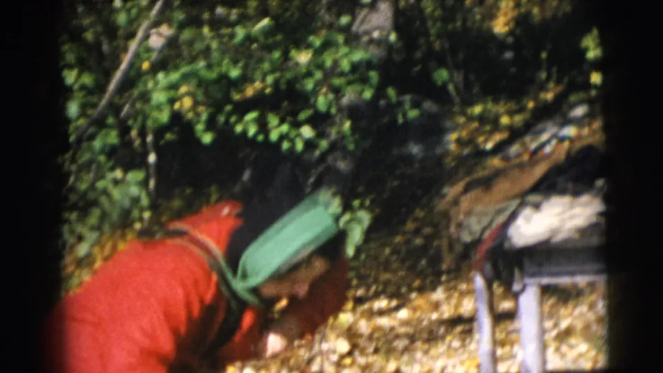 The woman bends down in the wooded Baraboo setting, with her red coat and green headscarf visible against fallen leaves.