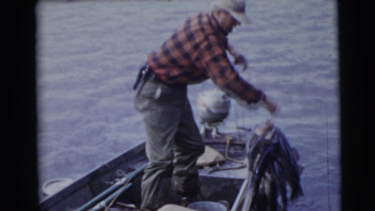 Fisherman in plaid shirt leans over a small boat while lifting a stringer of fish from the lake.