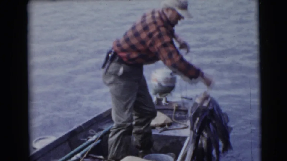In 1953 Baraboo, Wisconsin footage, a fisherman in a red plaid shirt bends over a small boat to raise several fish from the water.