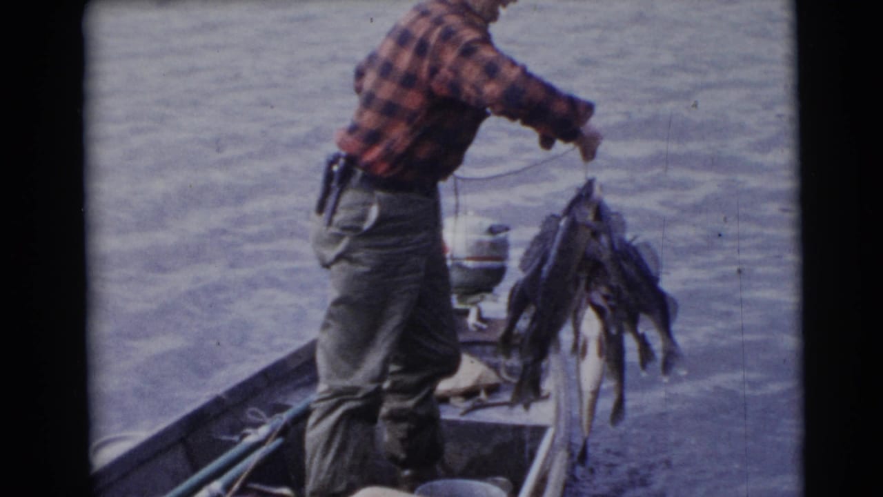 The fisherman stands near the outboard motor and raises a heavy stringer of fish in 1953 Wisconsin lake footage.