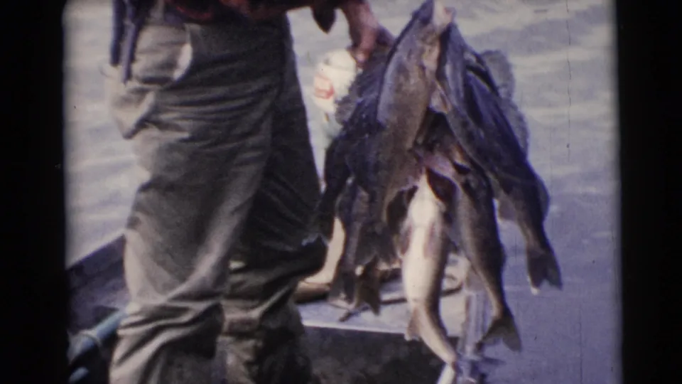 The 1953 home-movie frame shows a large fish catch hanging from a line beside an angler’s legs on a small boat.