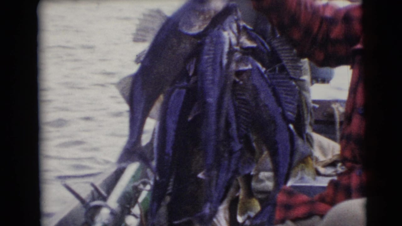 A large stringer of fish hangs beside a man in a red plaid shirt on a boat.