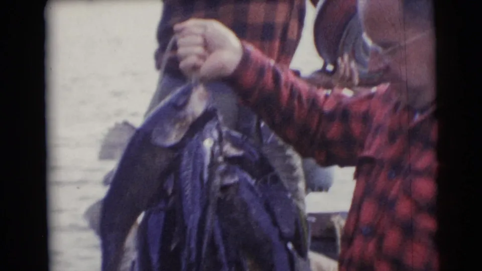 1953 Baraboo, Wisconsin home-movie frame with a man in red plaid lifting a stringer of fish near the water.