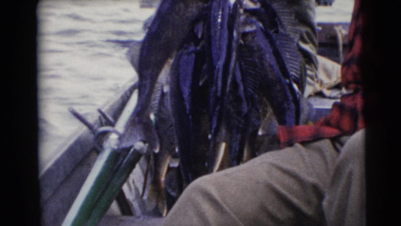 Close view of fish and fishing gear inside a canoe on rippled water.