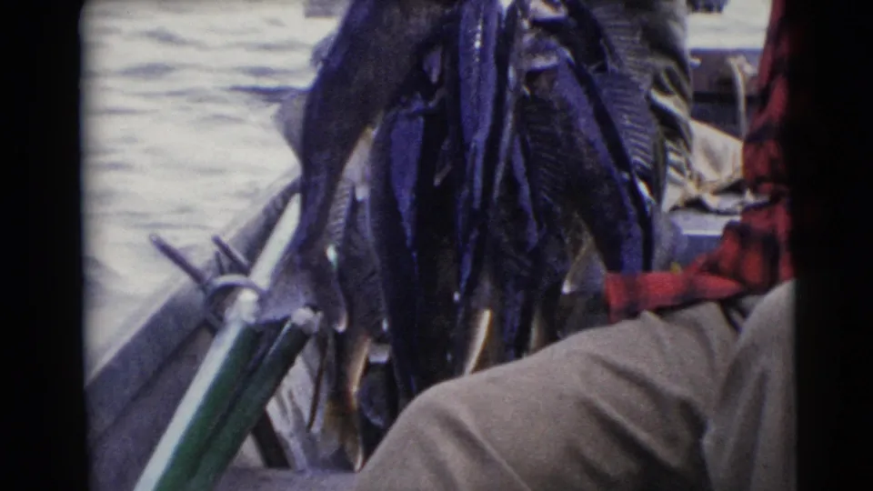 A canoe or small boat holds several fish and gear on the water, with part of a plaid-shirted person visible at the edge.
