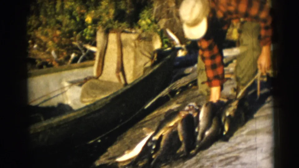 A plaid-shirted man bends over a canoe or small boat with several large fish visible, continuing the 1953 Baraboo fishing scene.
