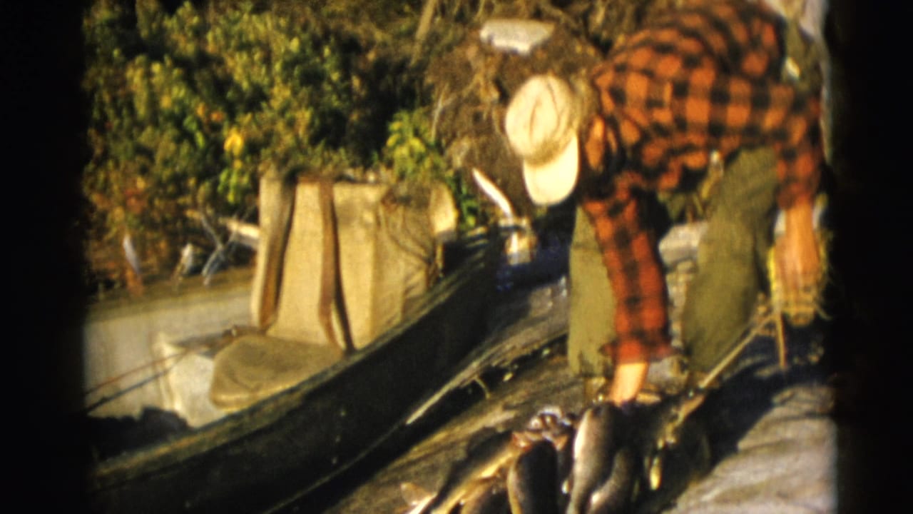 Man in plaid shirt bends beside a wooden boat and a row of caught fish.