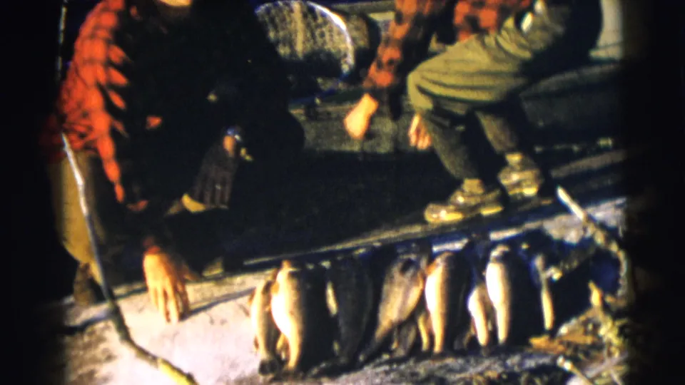 Two men crouch over a small boat while several fish are arranged in a row in 1953 Baraboo, Wisconsin footage.