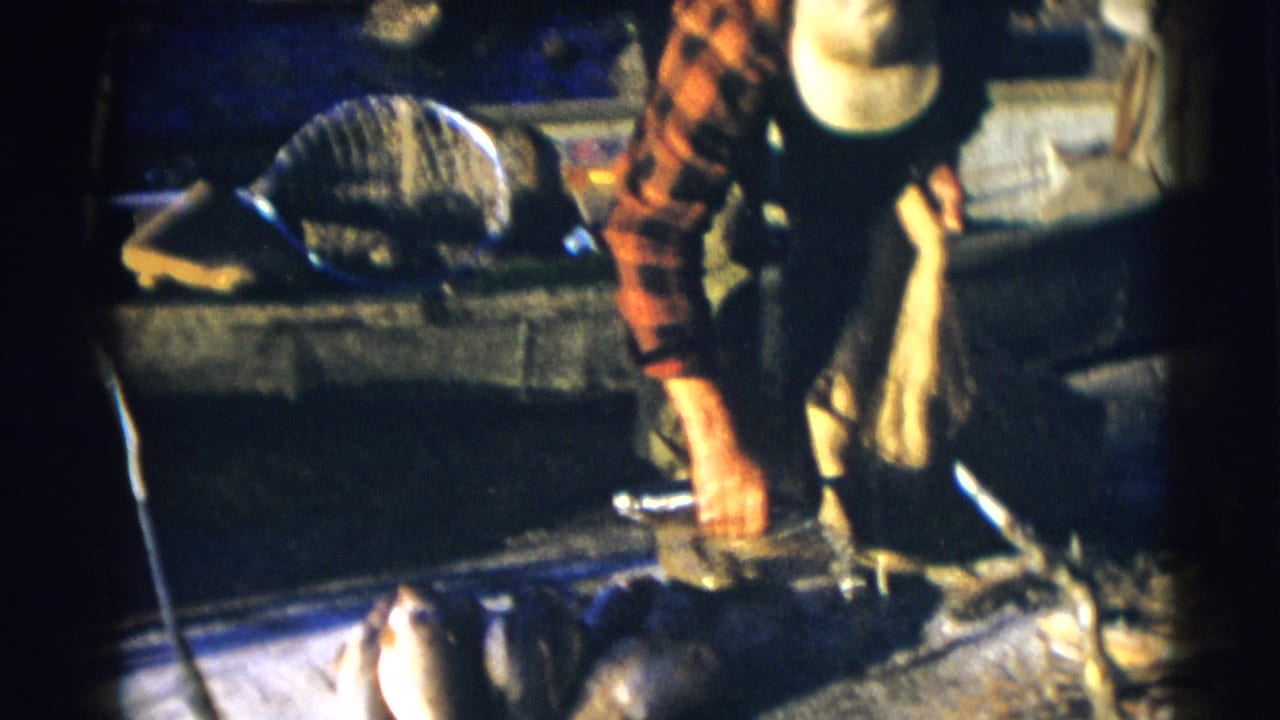 The 1953 Baraboo fishing scene shows the man reaching down toward fish in the boat with a burlap sack at his side.