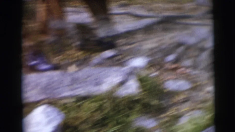 A blurred handheld 8mm frame shows rocks, leaves, and forest floor during movement through the wooded setting.