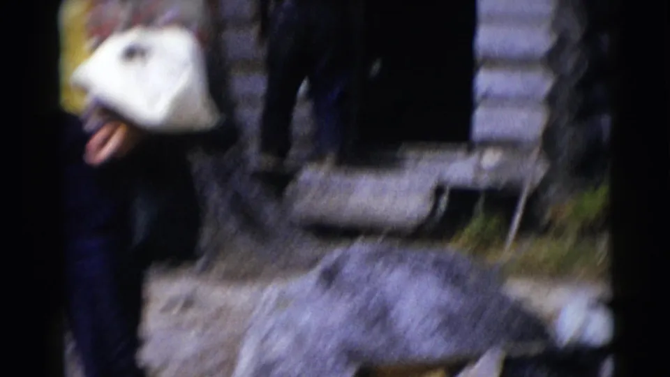 Soft 1953 home-movie frame from Baraboo showing an adult with a white bag walking beside trees and a rustic cabin wall.