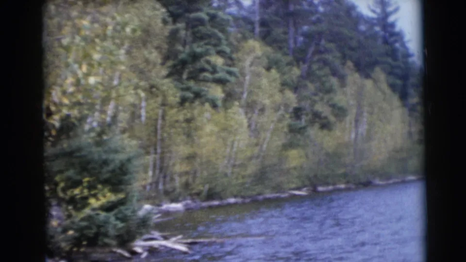 A wooded Baraboo, Wisconsin river view in 1953, with rippling water, dense shoreline brush, birch trunks, and evergreens.
