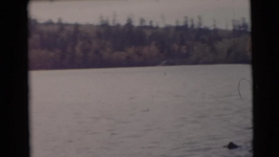 Muted 1950s 8mm view across a Wisconsin lake, with distant trees, calm water, and indistinct dark shapes near the surface.