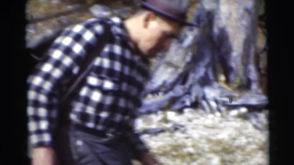 A close handheld frame shows the checkered-shirted man leaning forward near tree roots and rocks in the Baraboo woods.